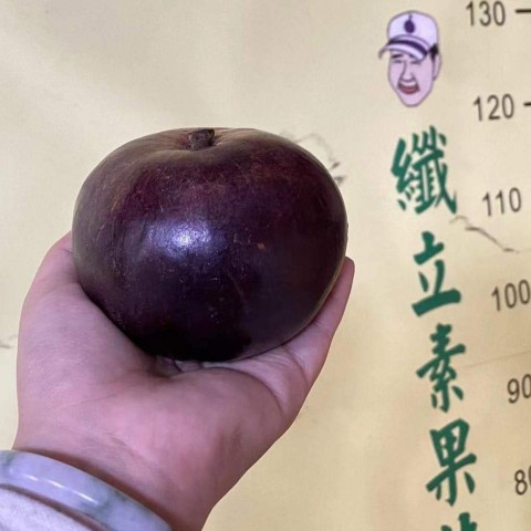 扁16牛奶果(嫁接苗)