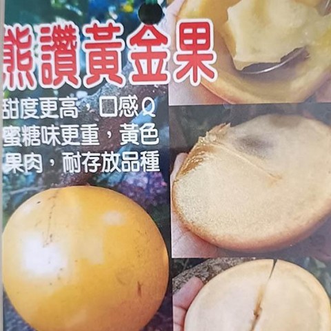 熊讚黃金果