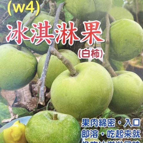 白柿(冰淇淋果)