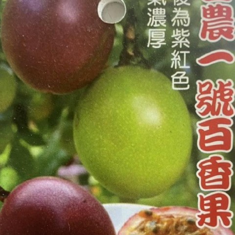 台農百香果