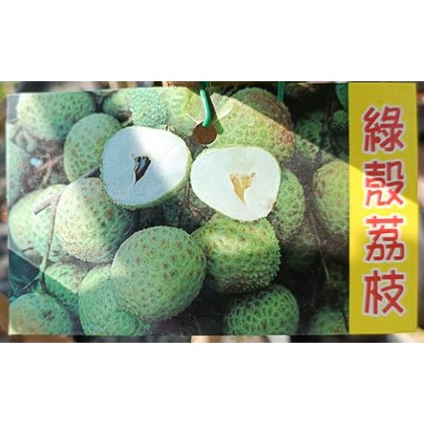 綠殼荔枝