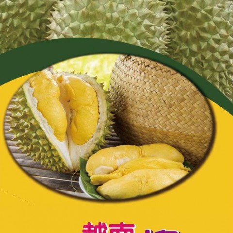 Ri6干堯-越南榴槤