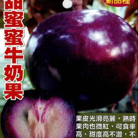 甜蜜蜜牛奶果