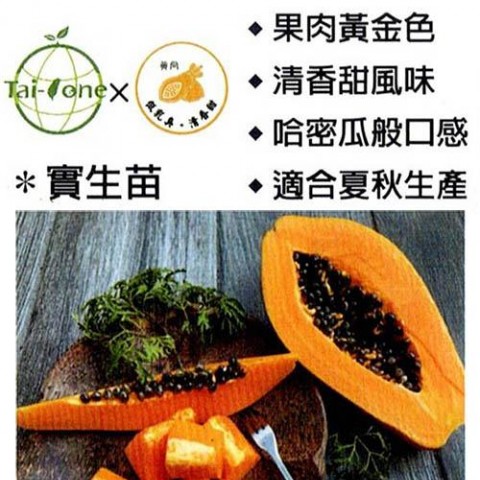 黃尚木瓜