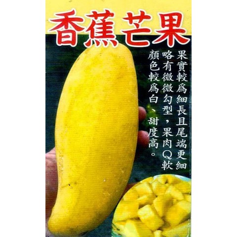香蕉芒果