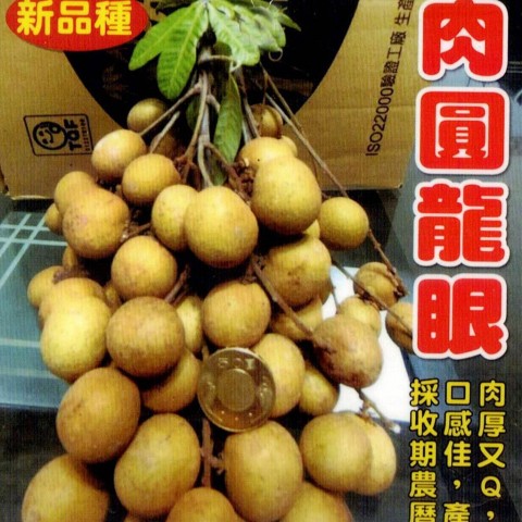 肉圓龍眼