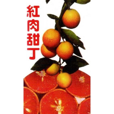 紅肉甜丁